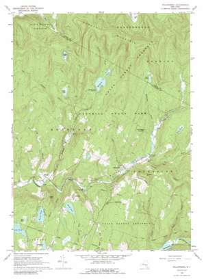 Willowemoc USGS topographic map 41074h6