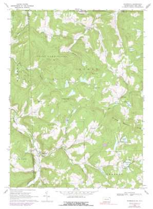 Starrucca USGS topographic map 41075h4