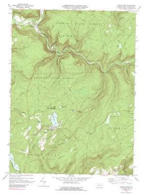 Eagles Mere USGS topographic map 41076d5