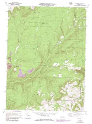 Gleason USGS topographic map 41076f8