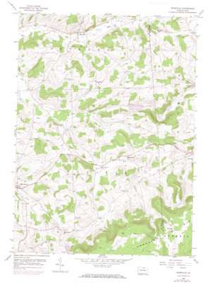 Roseville USGS topographic map 41076g8