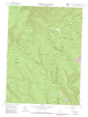 Snow Shoe NE USGS topographic map 41077b7