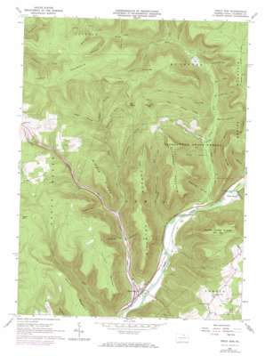 Trout Run USGS topographic map 41077d1