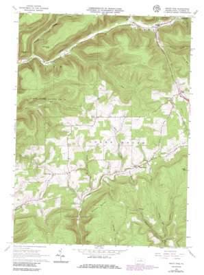 White Pine USGS topographic map 41077d2