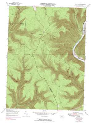 Slate Run USGS topographic map 41077d5