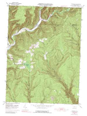 Tamarack USGS topographic map 41077d7