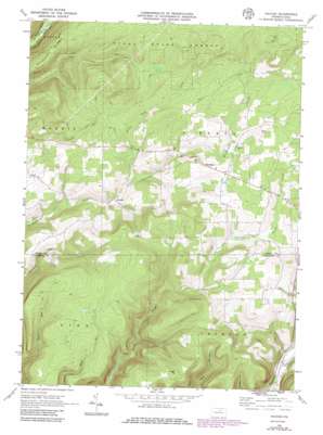 Nauvoo USGS topographic map 41077e2