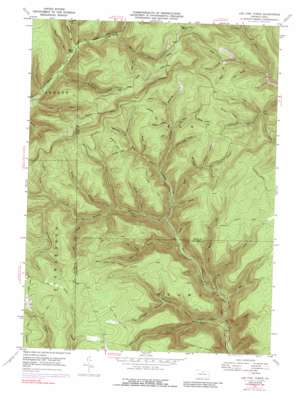 Lee Fire Tower USGS topographic map 41077e5