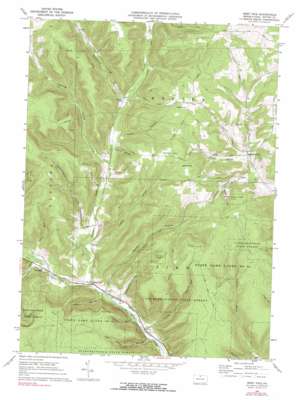 West Pike USGS topographic map 41077g6