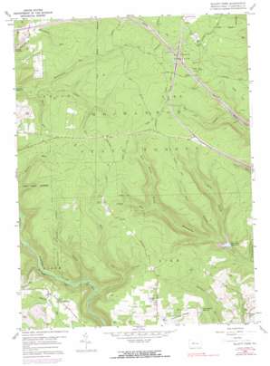 Elliott Park USGS topographic map 41078a5