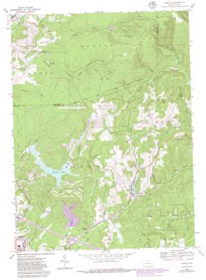 Sabula USGS topographic map 41078b6
