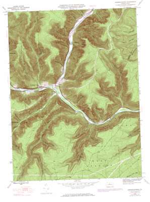 Sinnemahoning USGS topographic map 41078c1