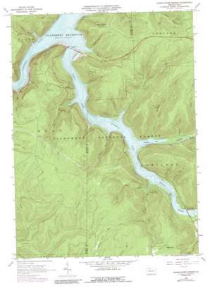 Cornplanter Bridge USGS topographic map 41078g8