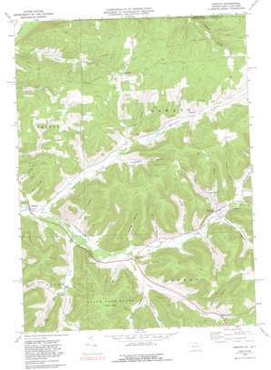 Oswayo USGS topographic map 41078h1