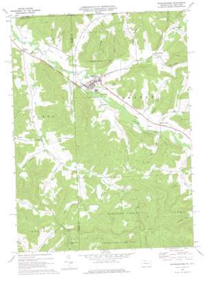 Shinglehouse USGS topographic map 41078h2