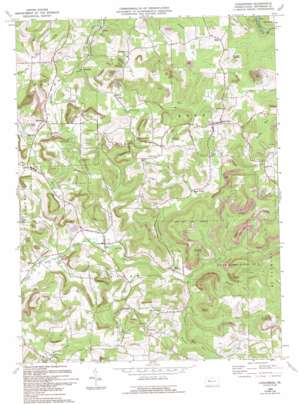 Coolspring topo map