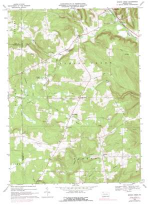 Spring Creek USGS topographic map 41079g5
