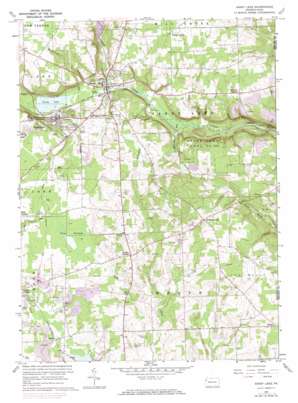 Sandy Lake USGS topographic map 41080c1