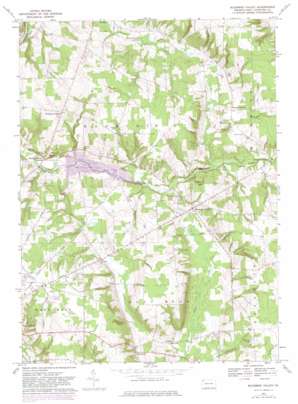 Blooming Valley topo map