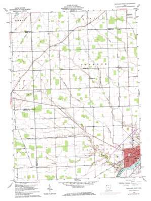 Napoleon West USGS topographic map 41084d2