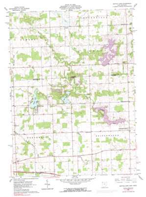 Nettle Lake USGS topographic map 41084f6
