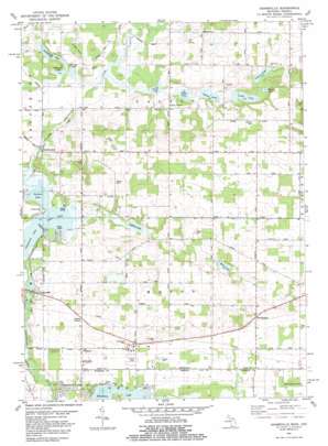 Adamsville USGS topographic map 41085g8
