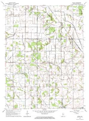 Ripley USGS topographic map 41086a6