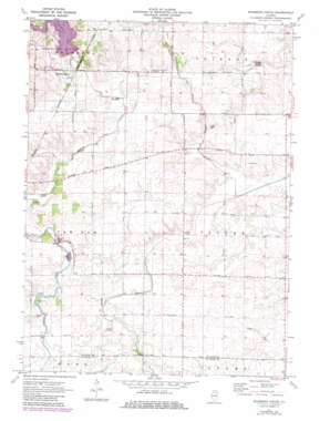Shabbona Grove USGS topographic map 41088f7