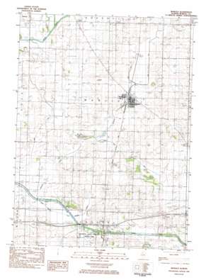 Manlius USGS topographic map 41089d6
