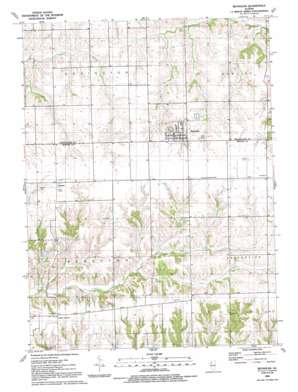 Reynolds USGS topographic map 41090c6