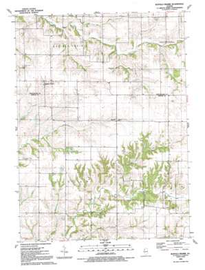 Buffalo Prairie topo map
