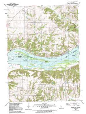 Illinois City USGS topographic map 41090d8