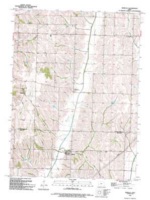 Mineola USGS topographic map 41095b6