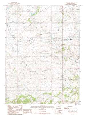 Dale Creek USGS topographic map 41105a4