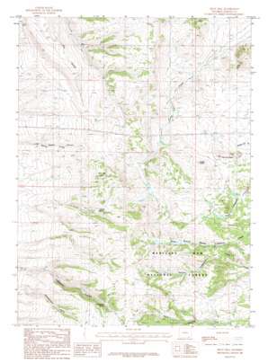 Pilot Hill USGS topographic map 41105c4