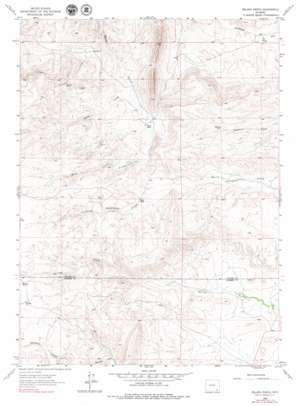 Delano Ranch USGS topographic map 41105f2