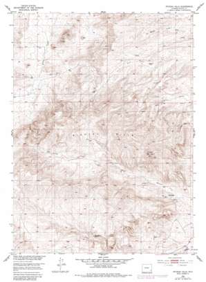 Richeau Hills USGS topographic map 41105g1