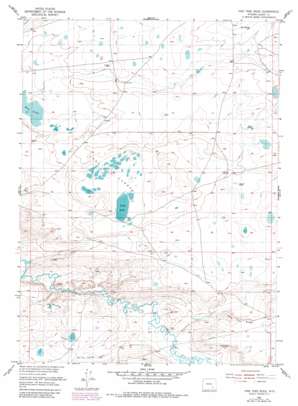 Pine Tree Ridge USGS topographic map 41105h8