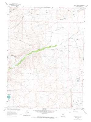 Walck Ranch topo map