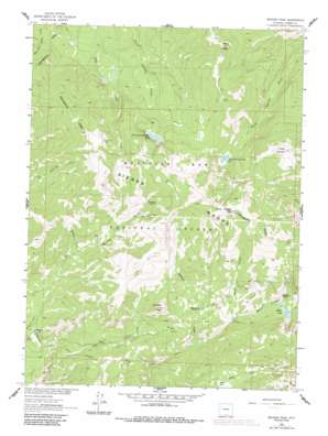 Bridger Peak USGS topographic map 41107b1