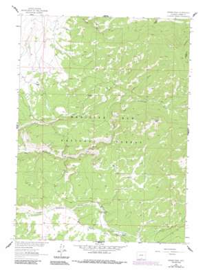 Singer Peak USGS topographic map 41107b2