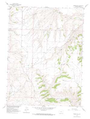 Browns Hill topo map