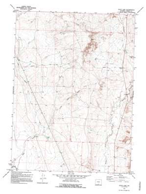 Duck Lake USGS topographic map 41107d7