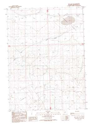 Red Lake Sw topo map