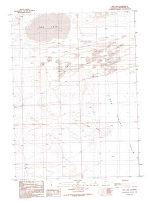 Red Lake USGS topographic map 41108h4