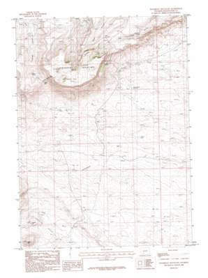 Steamboat Mountain topo map