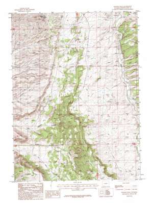 Wilkins Peak USGS topographic map 41109d3