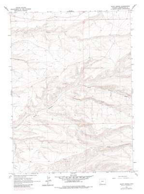 Scott Spring USGS topographic map 41109f4