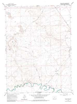 Blue Point USGS topographic map 41109f7