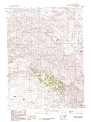 Deer Butte topo map
